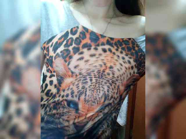 Kissa-Kot webcam