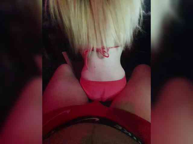 Kissa-Kot webcam