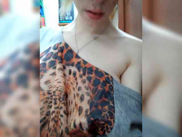 Kissa-Kot webcam
