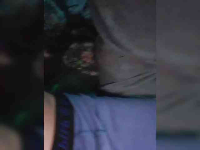 Kissa-Kot webcam