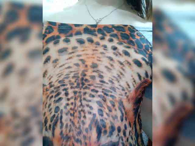 Kissa-Kot webcam
