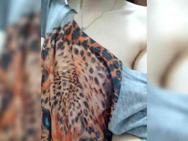 Kissa-Kot webcam