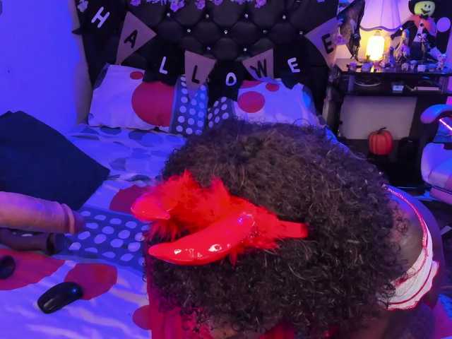 kary-bunny3 webcam