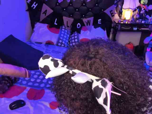 kary-bunny3 webcam