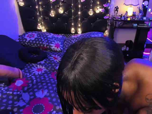 kary-bunny3 kary-bunny3