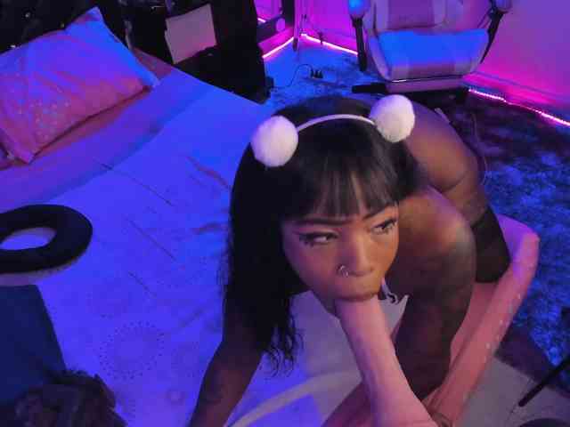 kary-bunny3 webcam