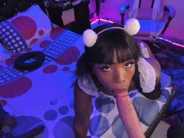 kary-bunny3 webcam