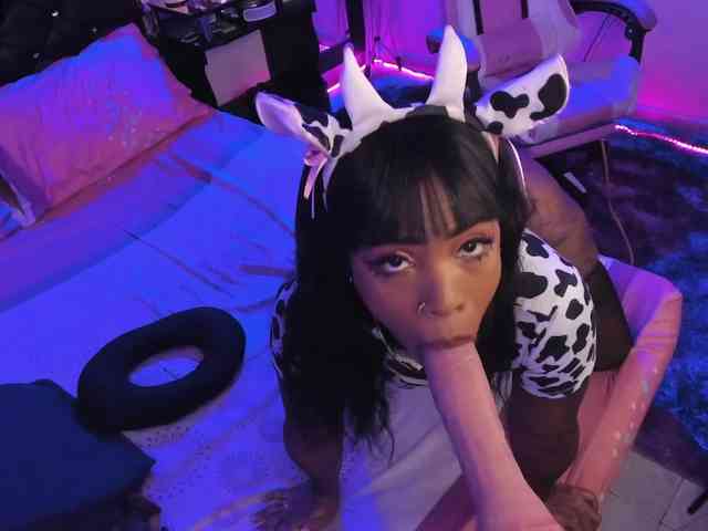kary-bunny3 webcam