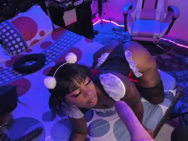kary-bunny3 webcam