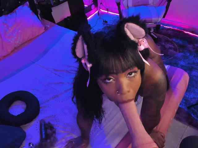kary-bunny3 webcam