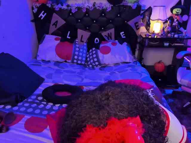 kary-bunny3 webcam