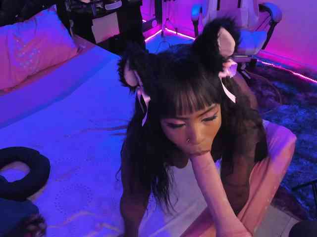 kary-bunny3 webcam