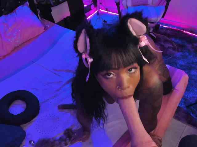 kary-bunny3 webcam