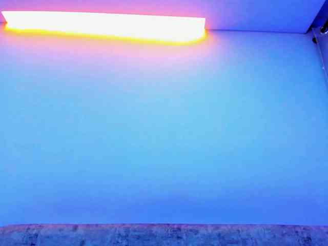 Niki-White Niki-White