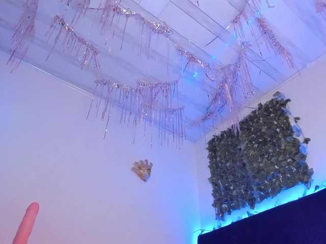 flylia01's BongaCams show and profile