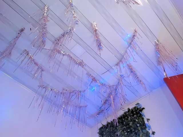 flylia01's BongaCams show and profile