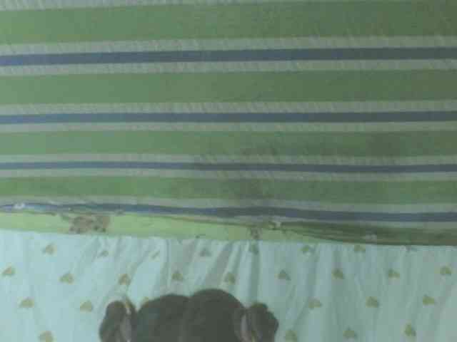 LorahXVane webcam