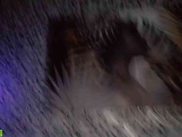 Amellea Live Webcam on BongaCams