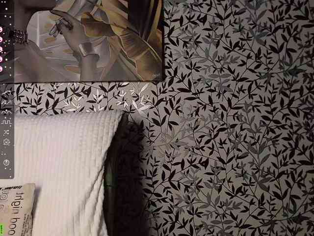 Amellea webcam