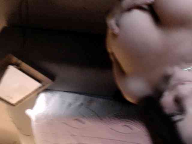 SofiaTequila SofiaTequila