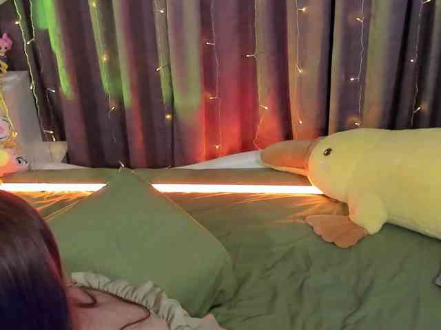 yorogumo webcam
