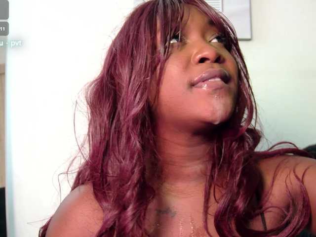 Preview of aidaadams