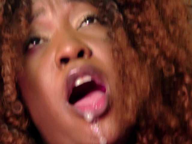 Preview of aidaadams