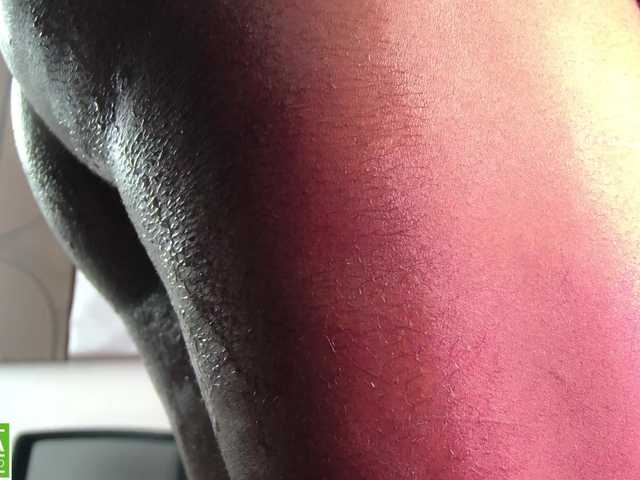 Preview of aidaadams