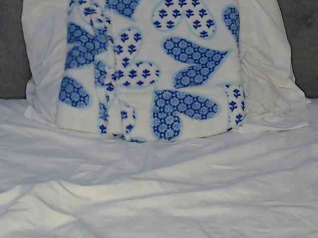lolapaz webcam