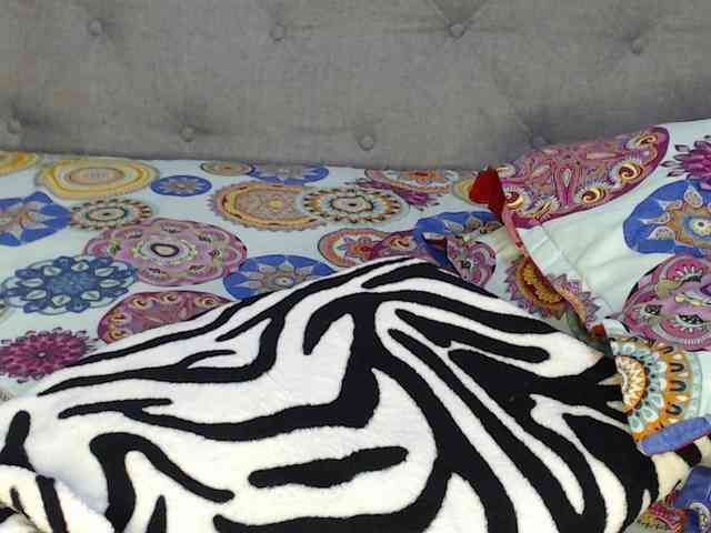 lolapaz webcam