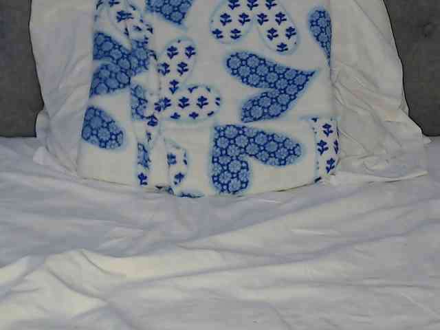 lolapaz webcam