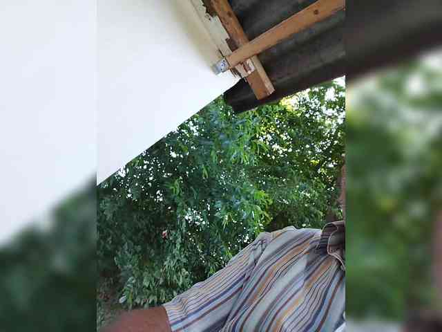 Sunshine-Couple webcam