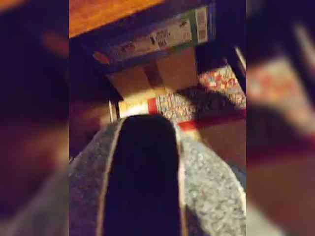 Sunshine-Couple webcam