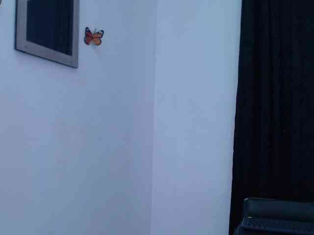 Abigail-jhons Abigail-jhons