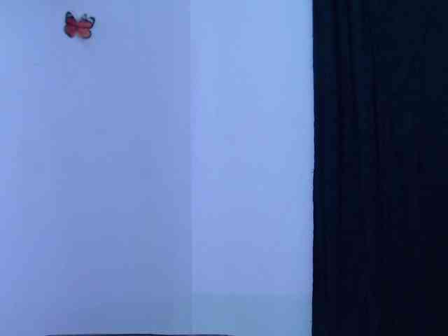 Abigail-jhons webcam