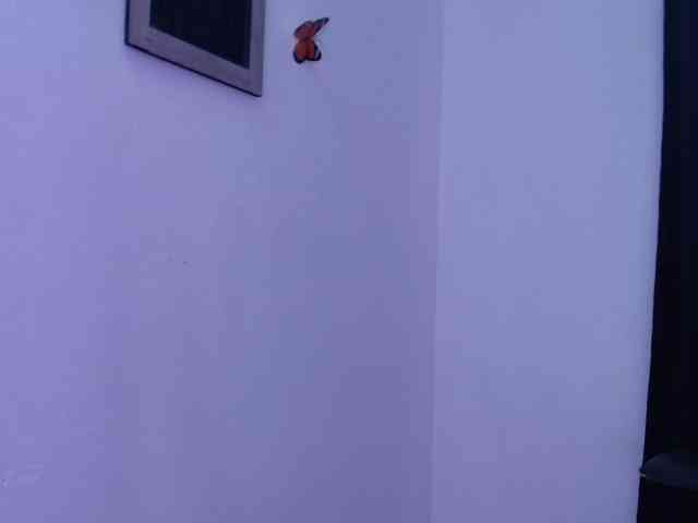 Abigail-jhons Abigail-jhons