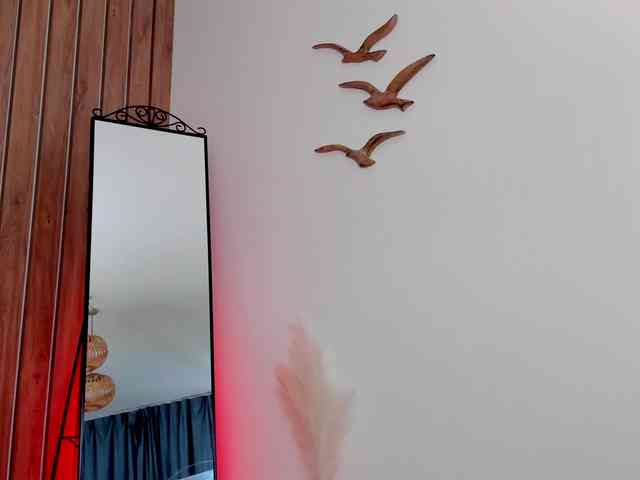 videochat room LeylaRoss
