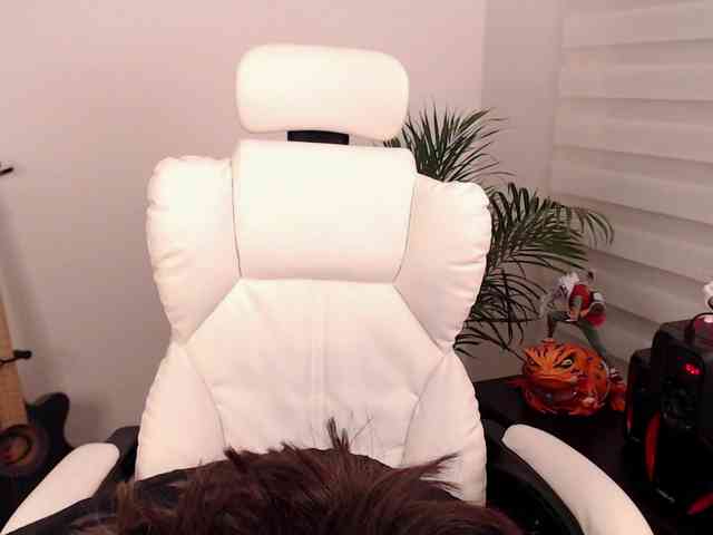 Fallenag webcam
