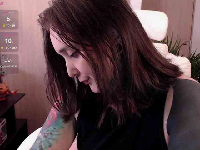 Fallenag webcam