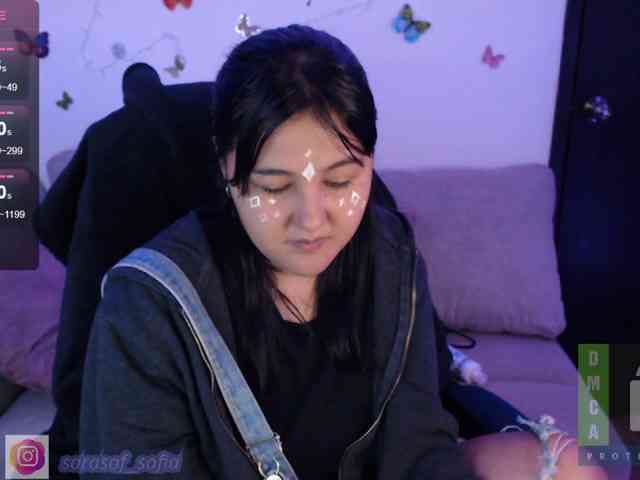 sara-sof webcam