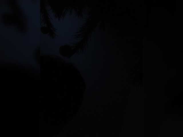 ChaosTime-1's BongaCams show and profile