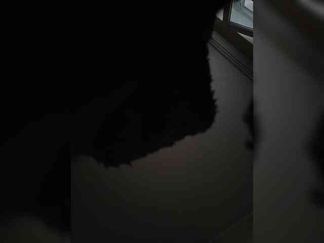 Lovelina00 webcam