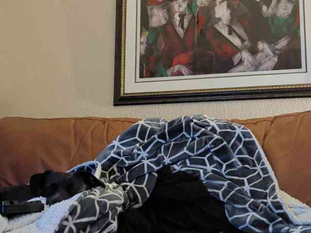 Publicfun206xxx Live Webcam on BongaCams