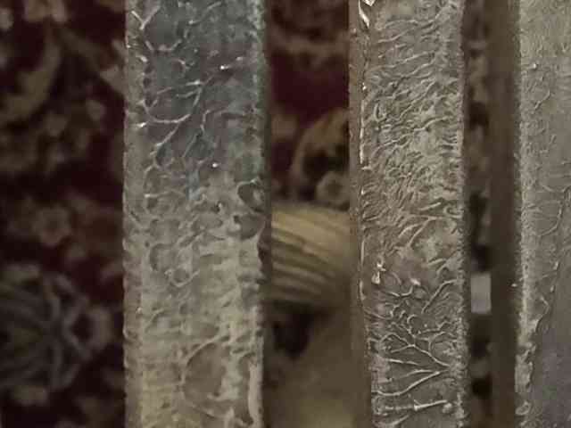 Publicfun206xxx Live Webcam on BongaCams