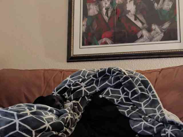 Publicfun206xxx Live Webcam on BongaCams