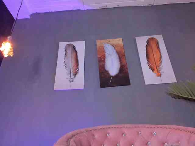 amyevans webcam