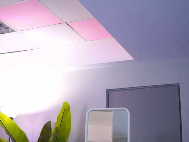 Preview of raquellevon