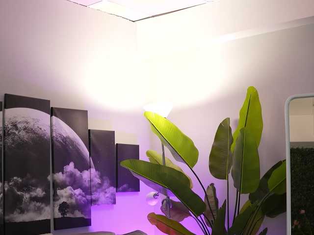 Preview of raquellevon