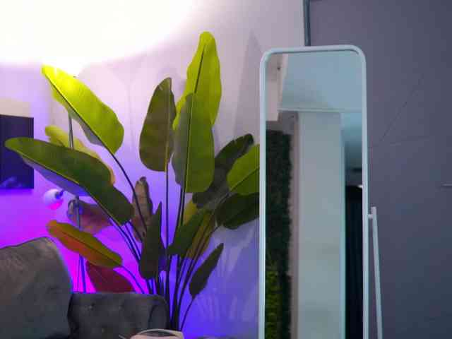 webcam free porn RaquelleVon