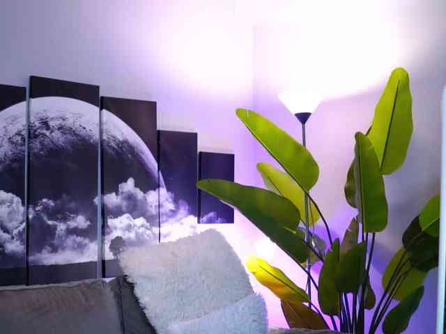 RaquelleVon RaquelleVon